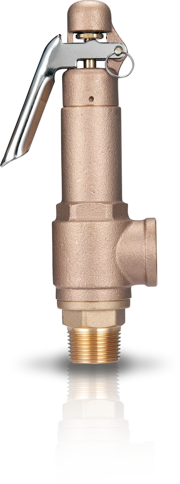 L9-BP
